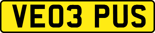 VE03PUS