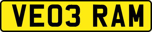 VE03RAM