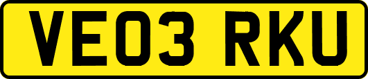 VE03RKU