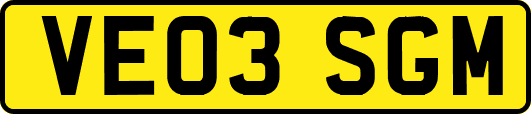 VE03SGM