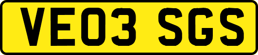 VE03SGS