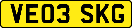VE03SKG