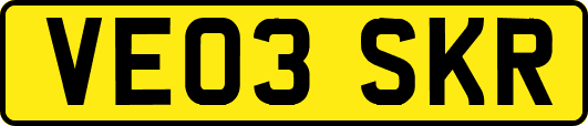 VE03SKR