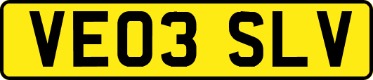 VE03SLV
