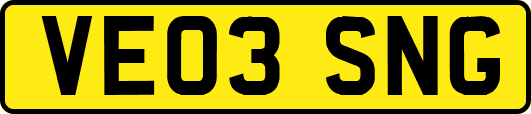 VE03SNG