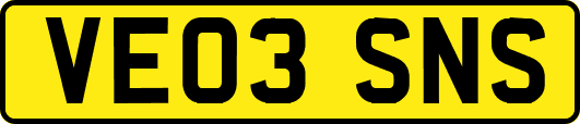 VE03SNS