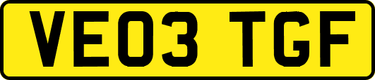 VE03TGF
