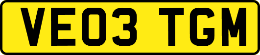 VE03TGM