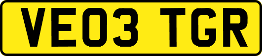 VE03TGR