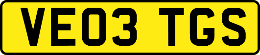VE03TGS