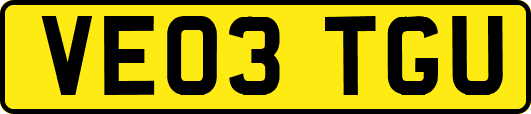 VE03TGU
