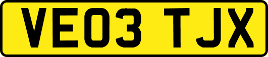 VE03TJX