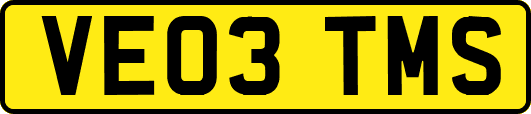VE03TMS