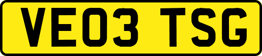 VE03TSG