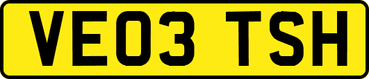 VE03TSH