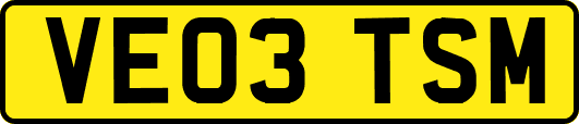 VE03TSM