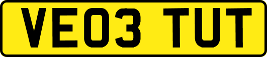 VE03TUT