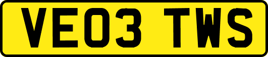 VE03TWS