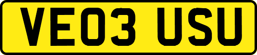 VE03USU