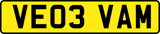 VE03VAM