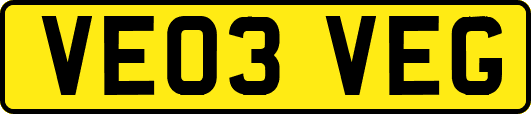 VE03VEG
