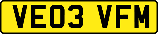 VE03VFM