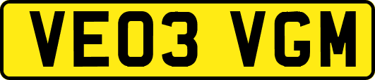 VE03VGM