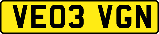 VE03VGN