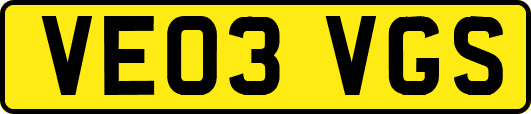 VE03VGS