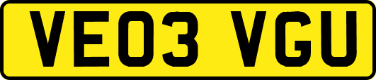 VE03VGU