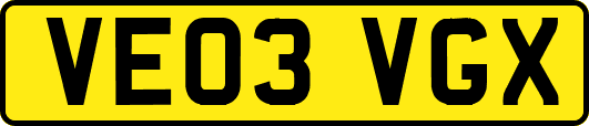 VE03VGX