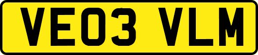 VE03VLM
