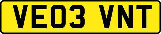 VE03VNT