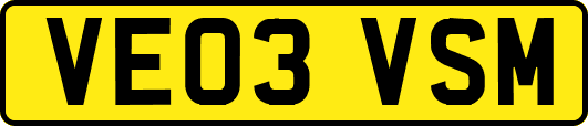 VE03VSM