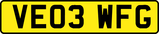 VE03WFG