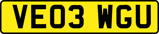 VE03WGU