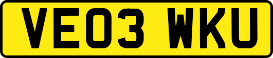 VE03WKU