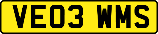 VE03WMS
