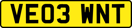 VE03WNT