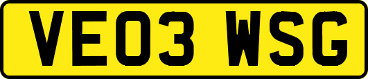 VE03WSG