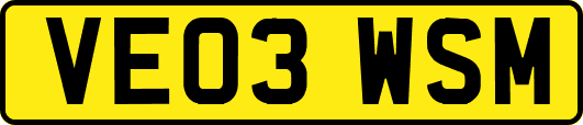 VE03WSM