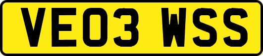 VE03WSS