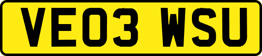 VE03WSU
