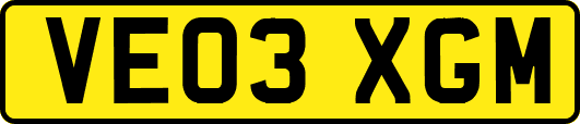VE03XGM