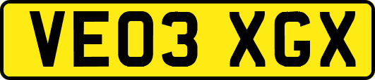 VE03XGX