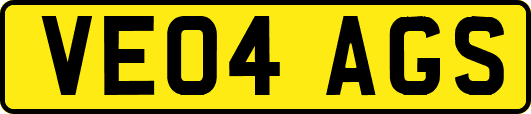 VE04AGS
