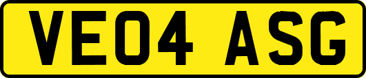 VE04ASG