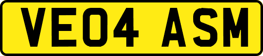VE04ASM