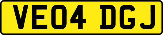 VE04DGJ