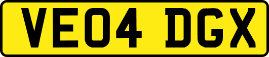 VE04DGX